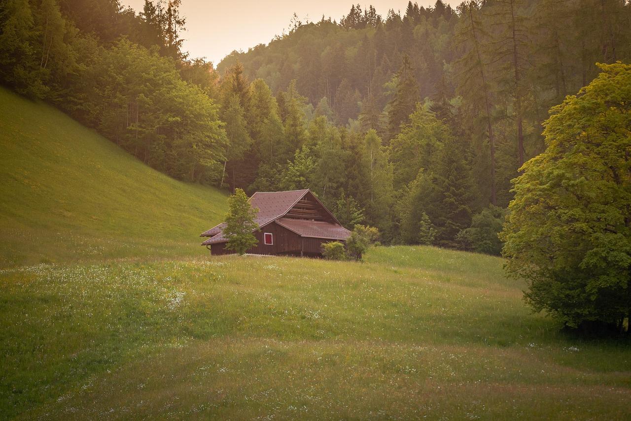 Wooden cabin in a meadow surrounded by forest