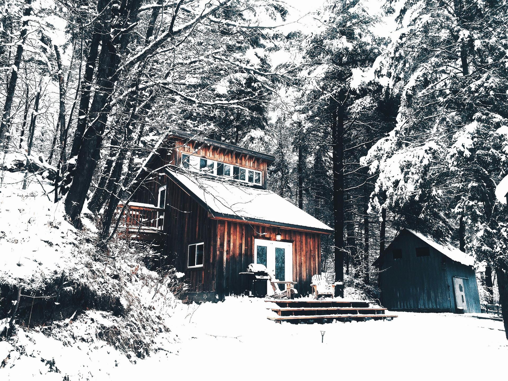Snowy Woods Cabin