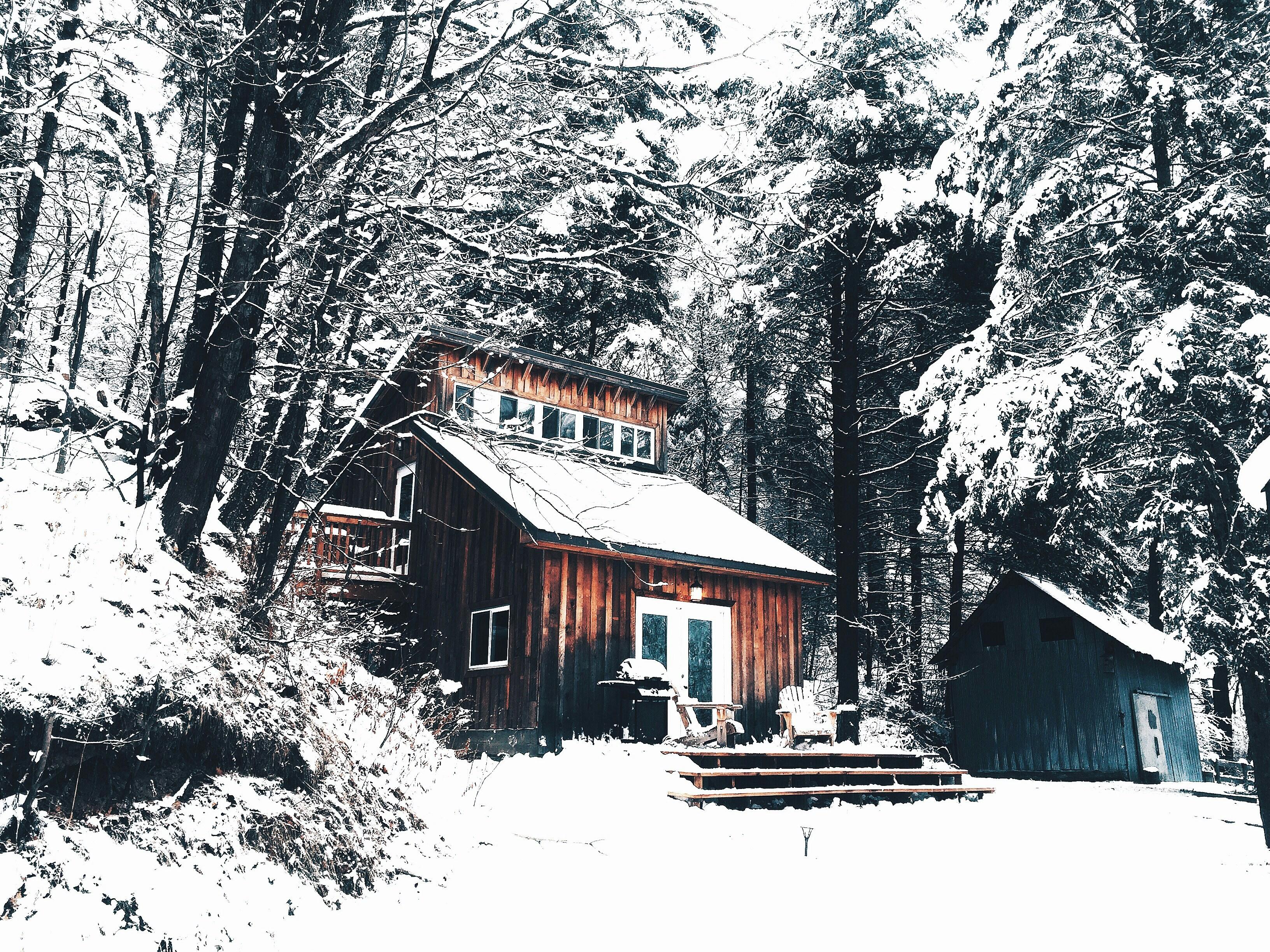 Snowy Woods Cabin