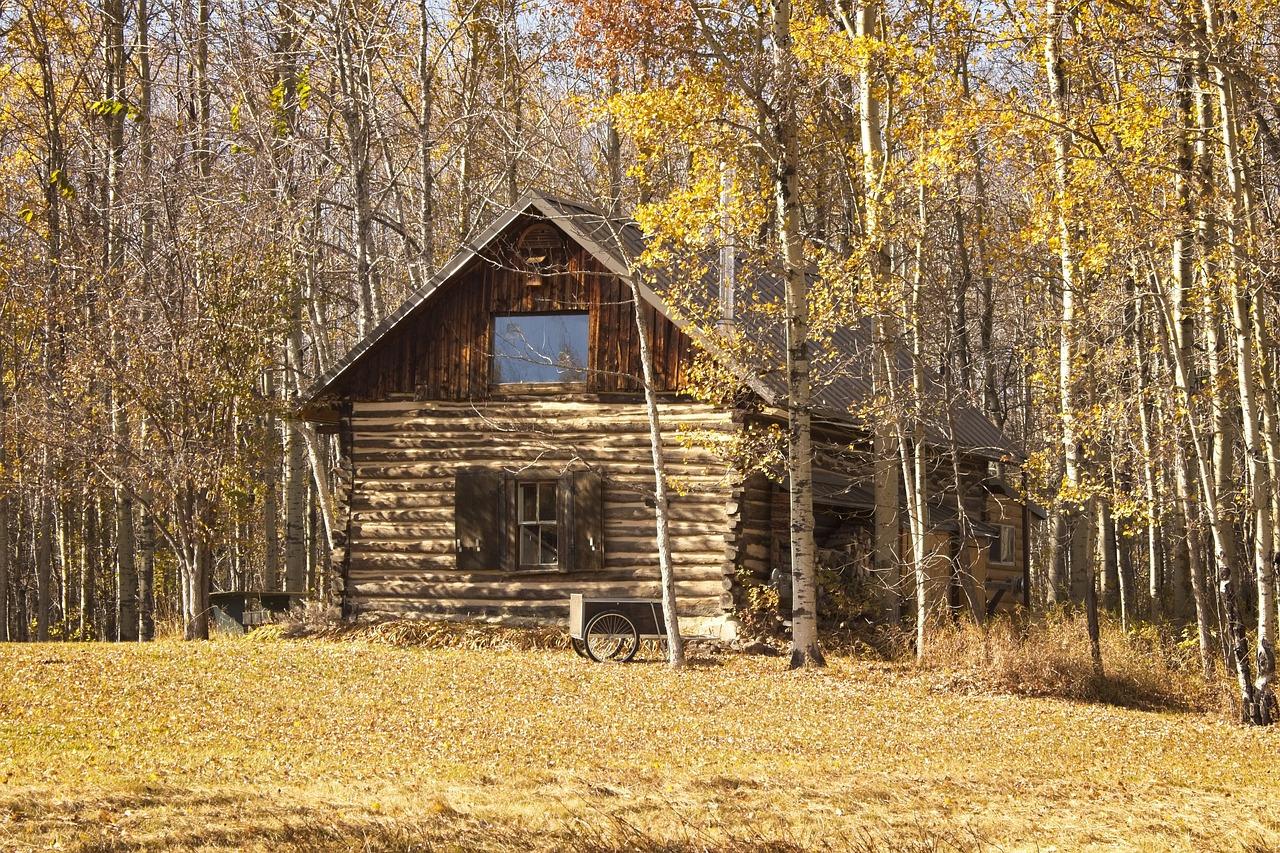 old cabin