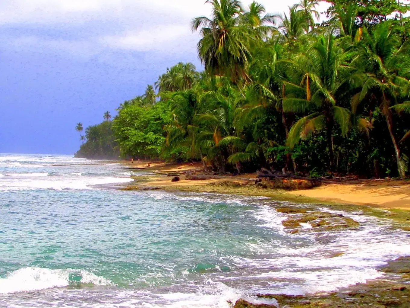 Little Costa Rica
