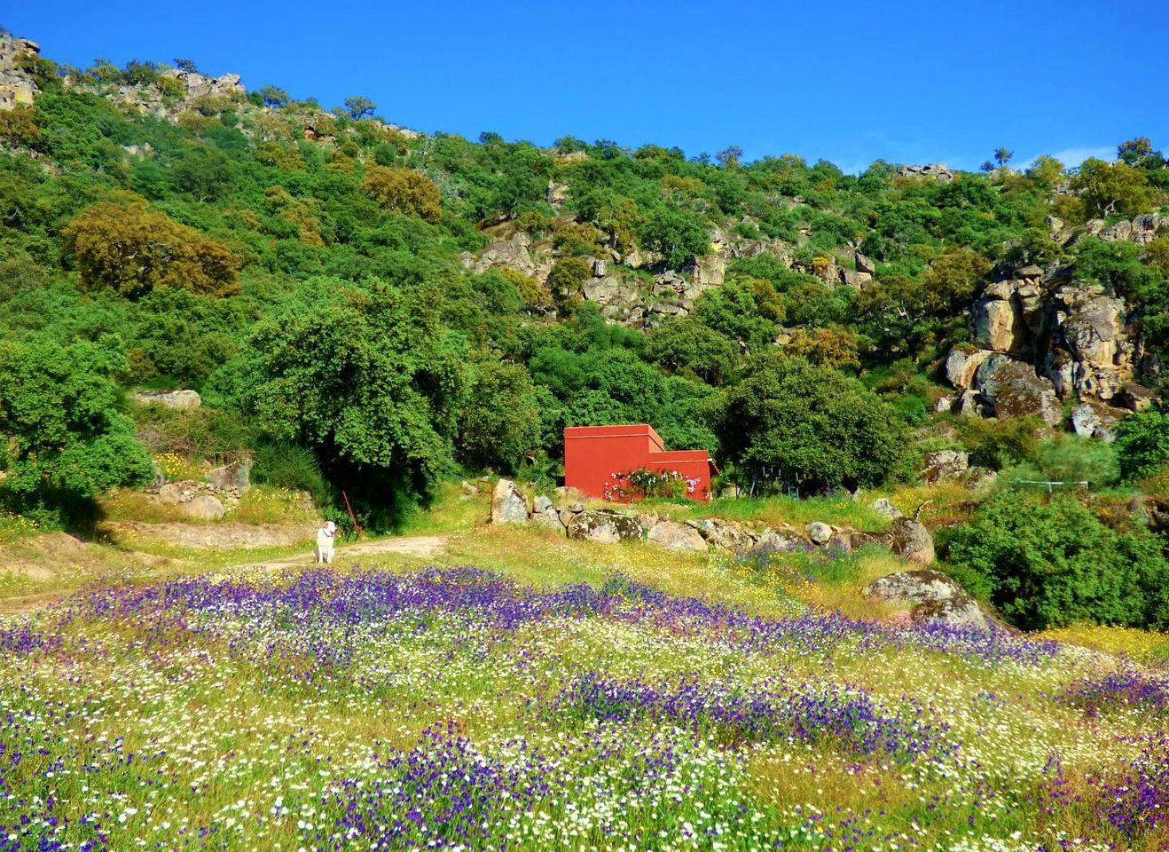 Secluded Rental for a Romantic Vacation