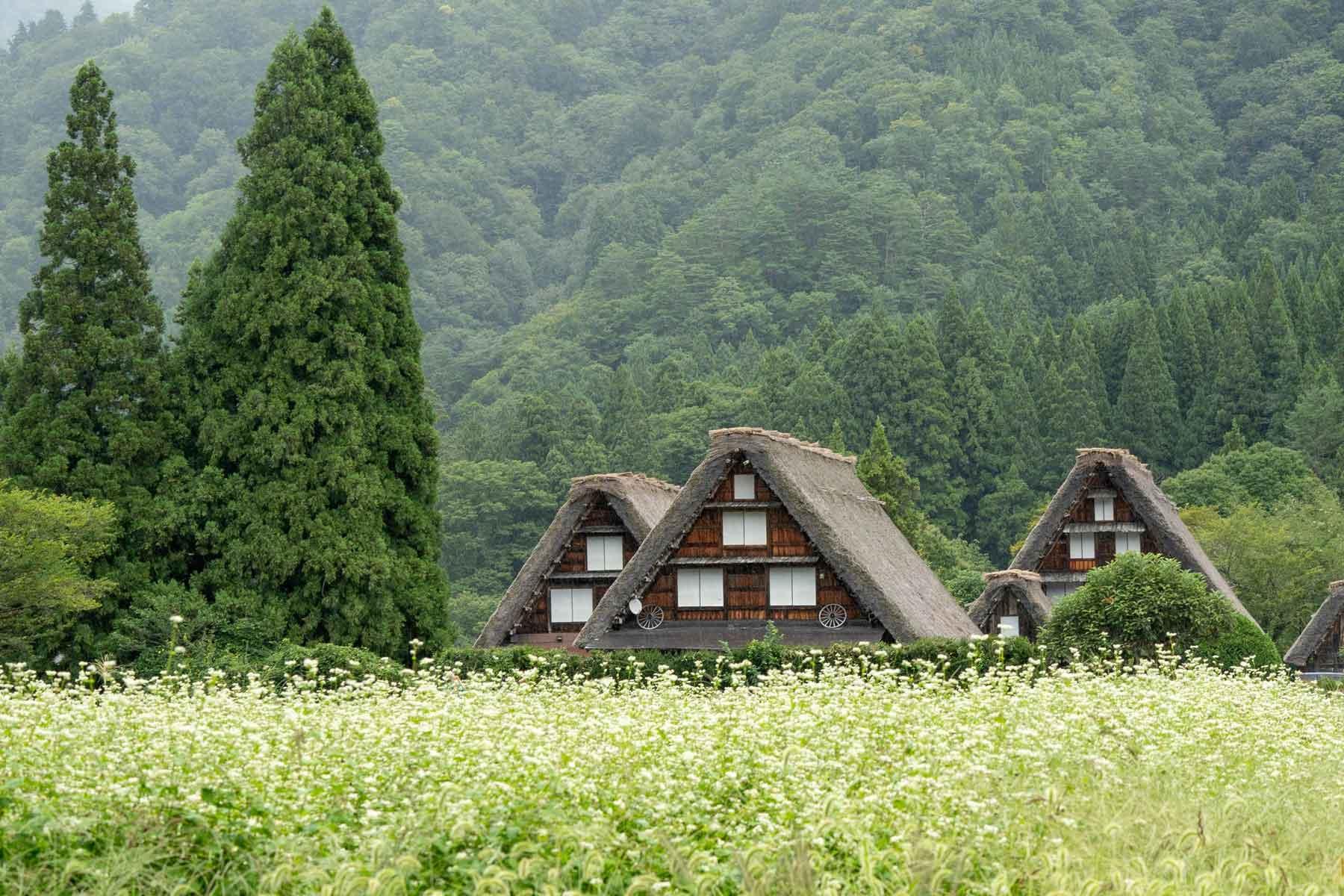 Stay in Traditional Gassho-Zukuri Houses in Shirakawa-go